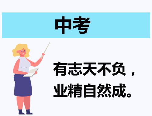teamviewer9修改版